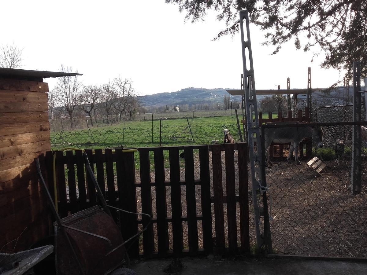 B&B La Quiete Foligno Exterior photo
